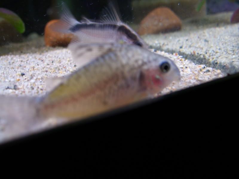 100_0043.jpg