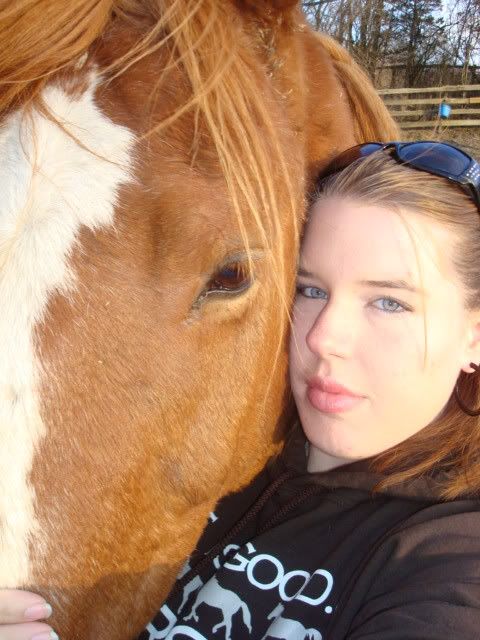 horsies014.jpg