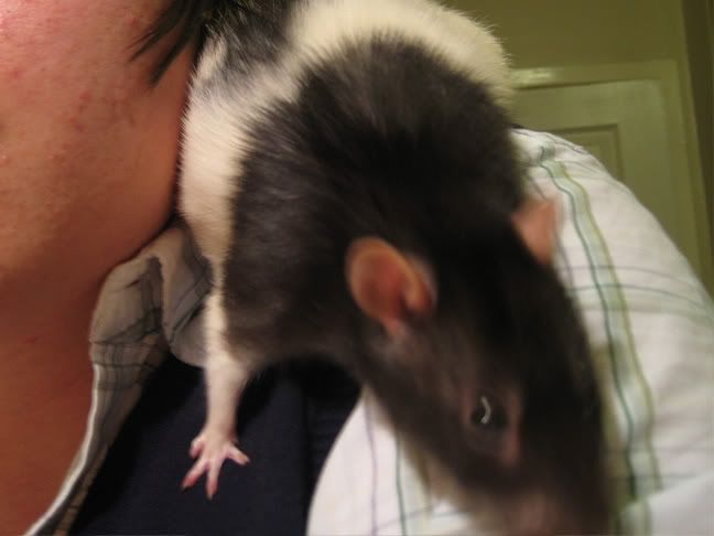 steve2.jpg