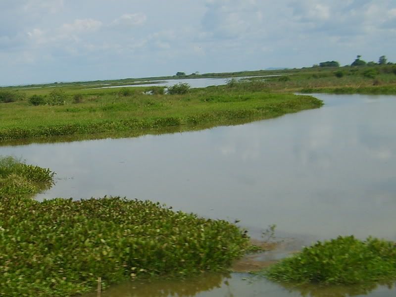 S5008424.jpg