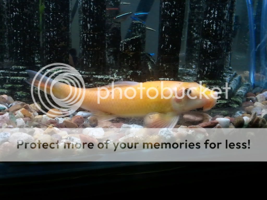 2011-10-29195234.jpg