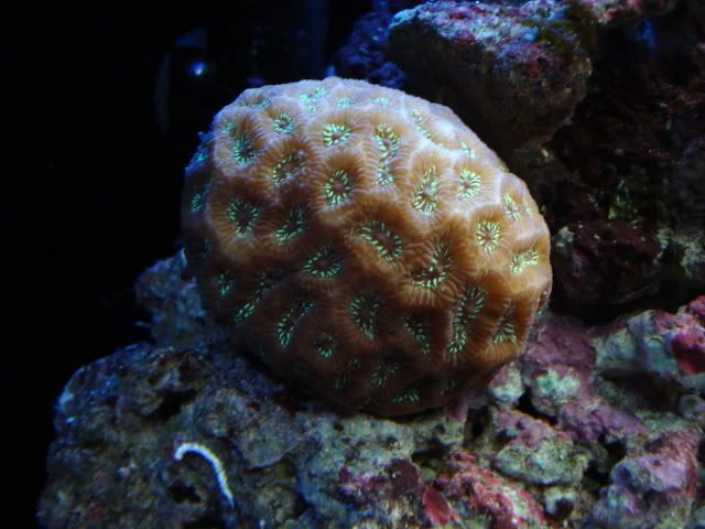 DSC00245.jpg