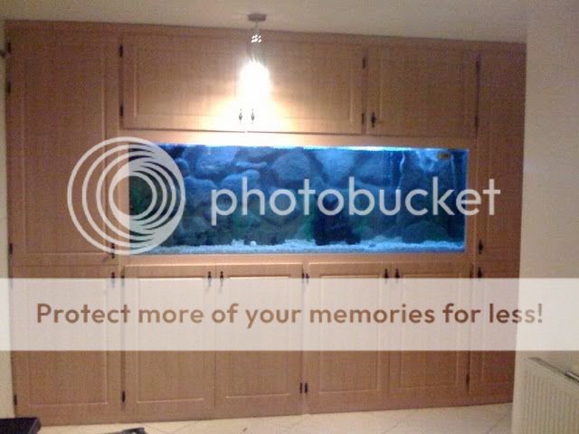 photo_2.jpg