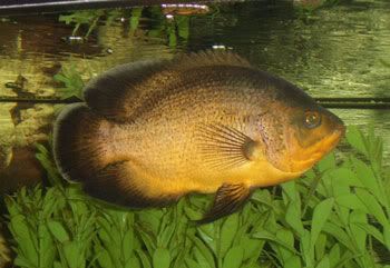 080206noname1.jpg