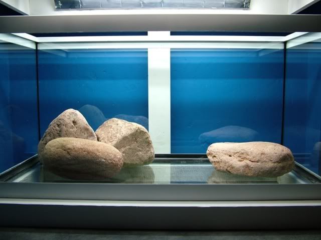 DSCF0782.jpg