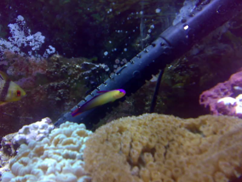 07012007099.jpg