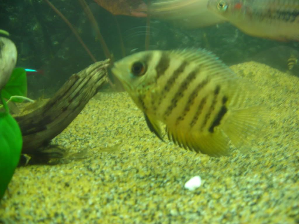 DSCN1742.jpg