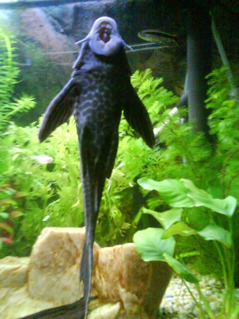 DSC00123.jpg