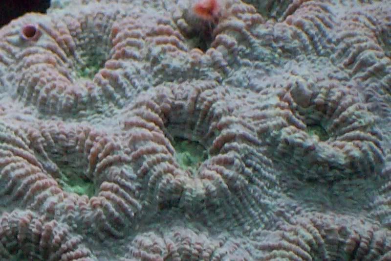 aquarium150.jpg