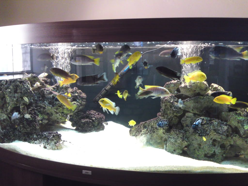 fish023.jpg