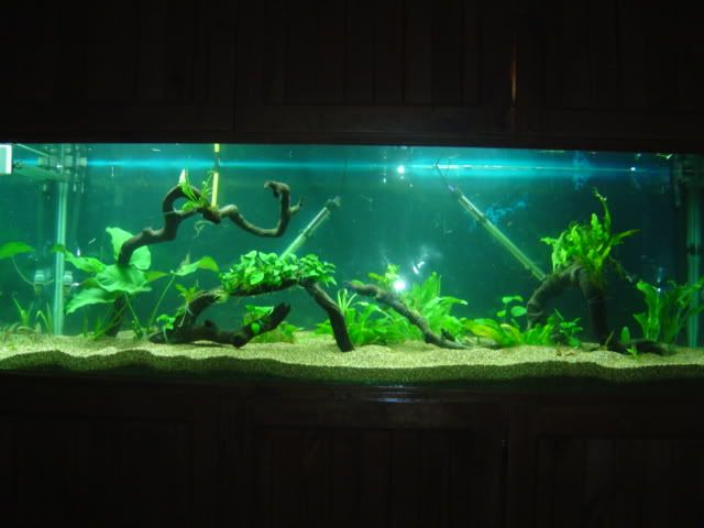 DSC01838.jpg