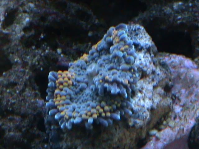 DSC00033.jpg