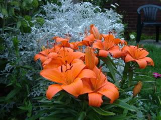2007_0616Image0001.jpg