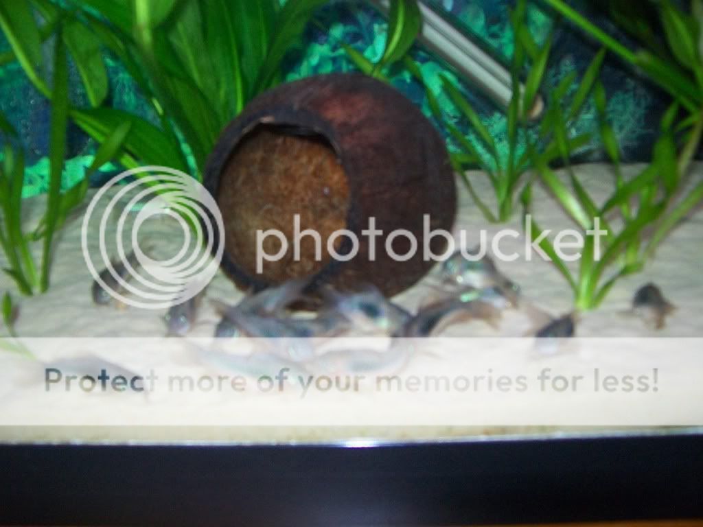 100_0632.jpg