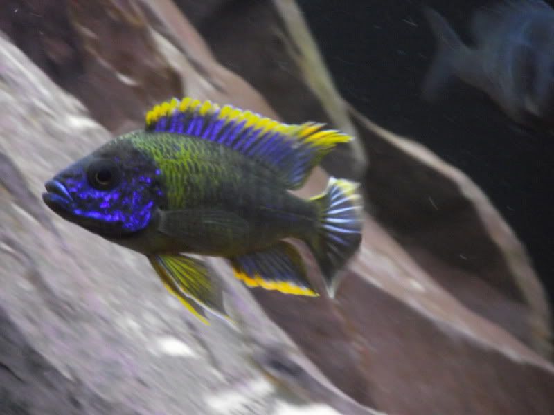 DSCF5645.jpg