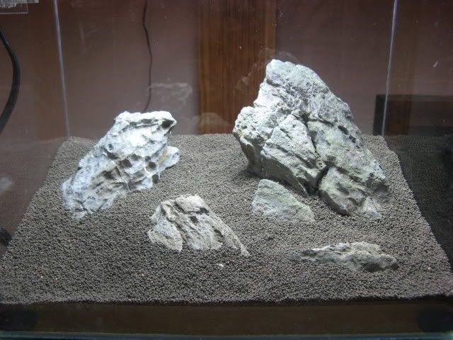 20090329005.jpg