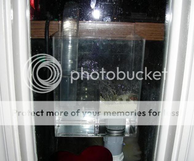 sump2.jpg