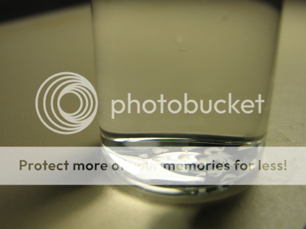 PictureorVideo068.jpg