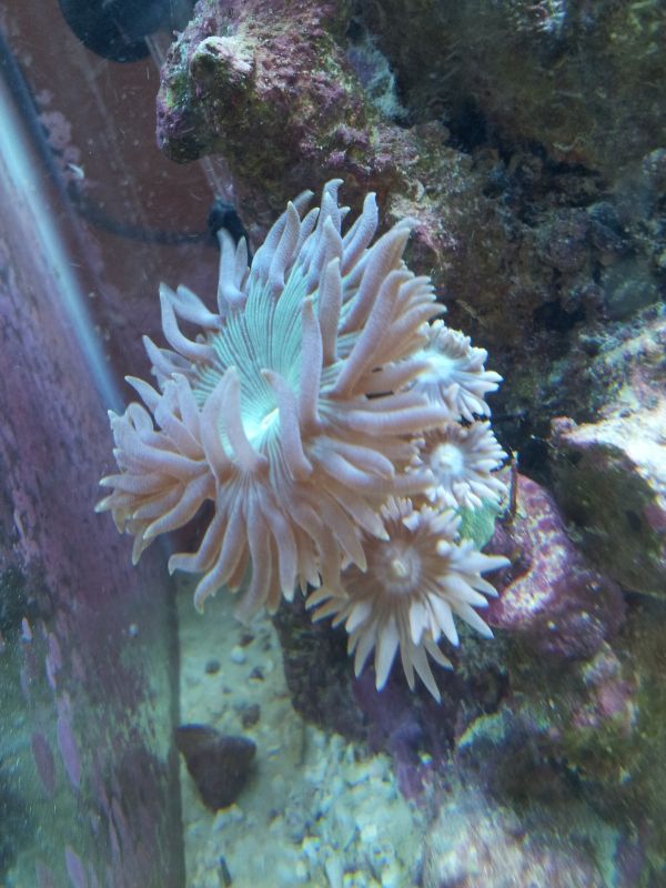 20120410_174313.jpg