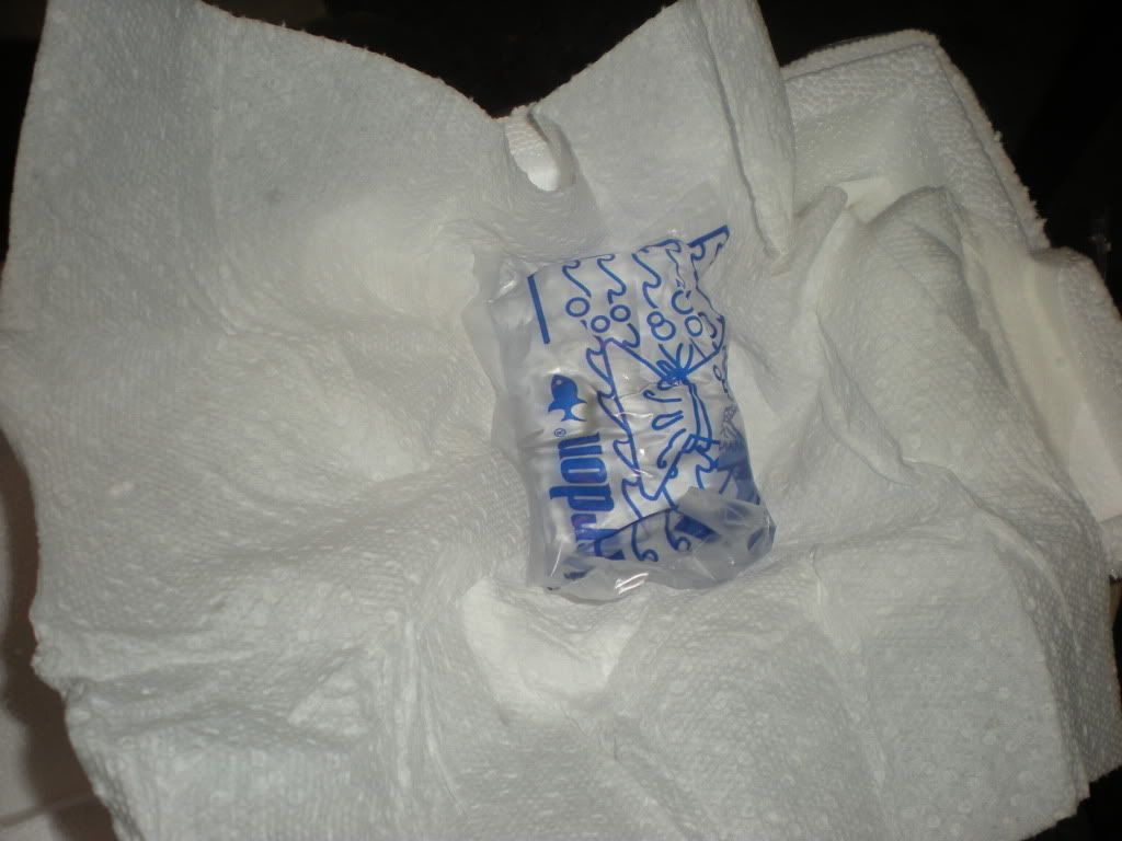 DSCN2257.jpg