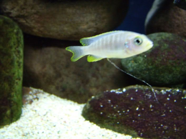 DSCF2119.jpg