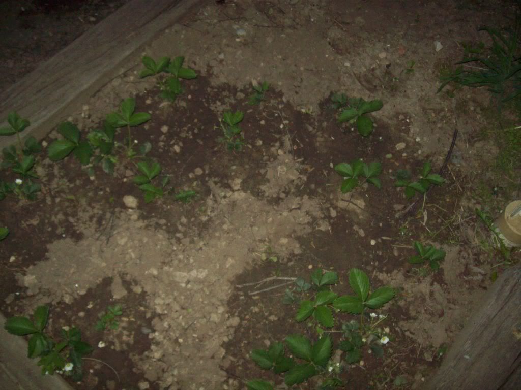 013-11.jpg