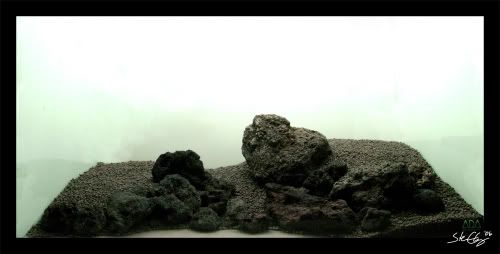 hardscape1_Fall2006copy.jpg