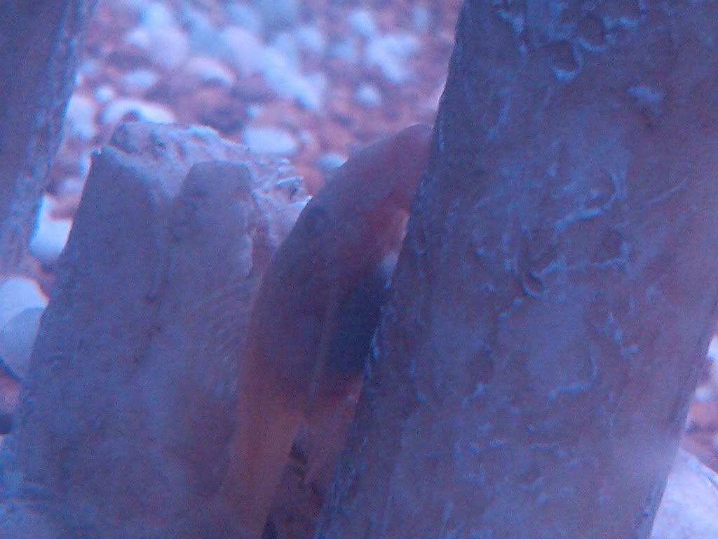 IMG00129-20111023-2319-1.jpg