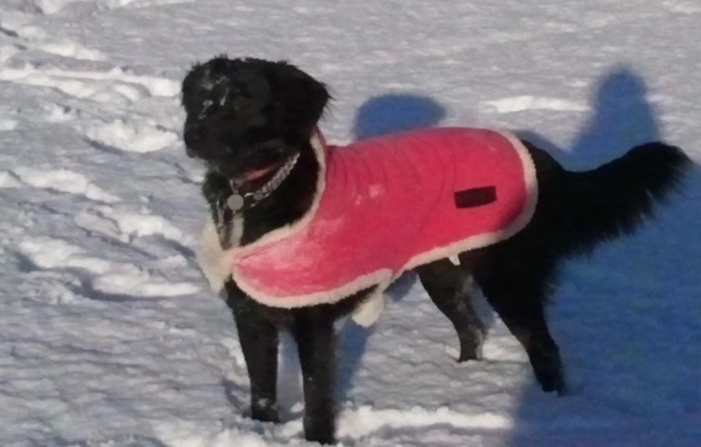 Bella.jpg