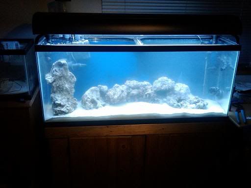 aquariumlights.jpg