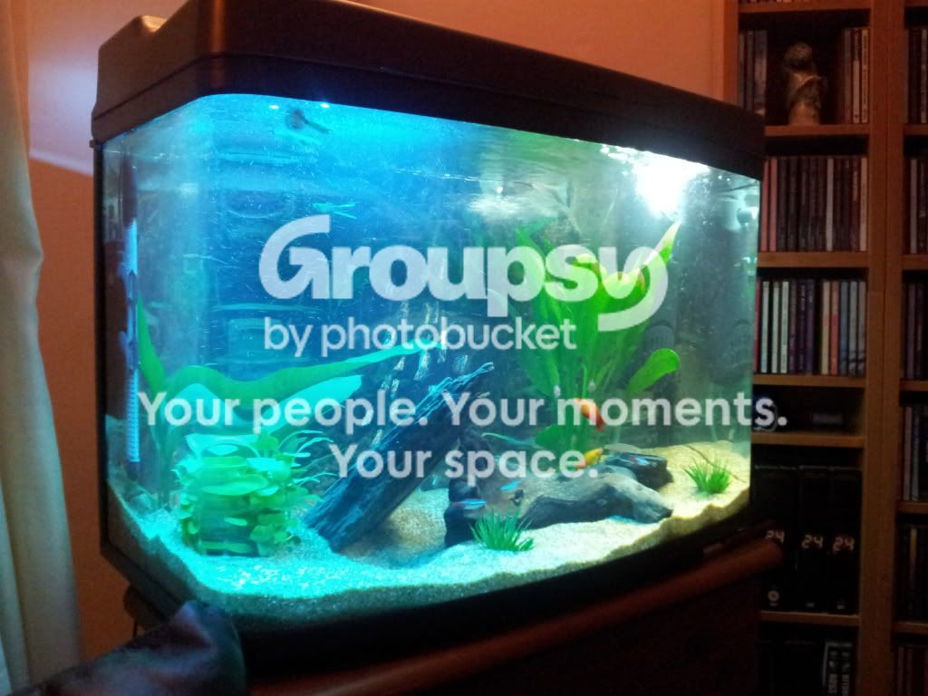 20111128_230722.jpg