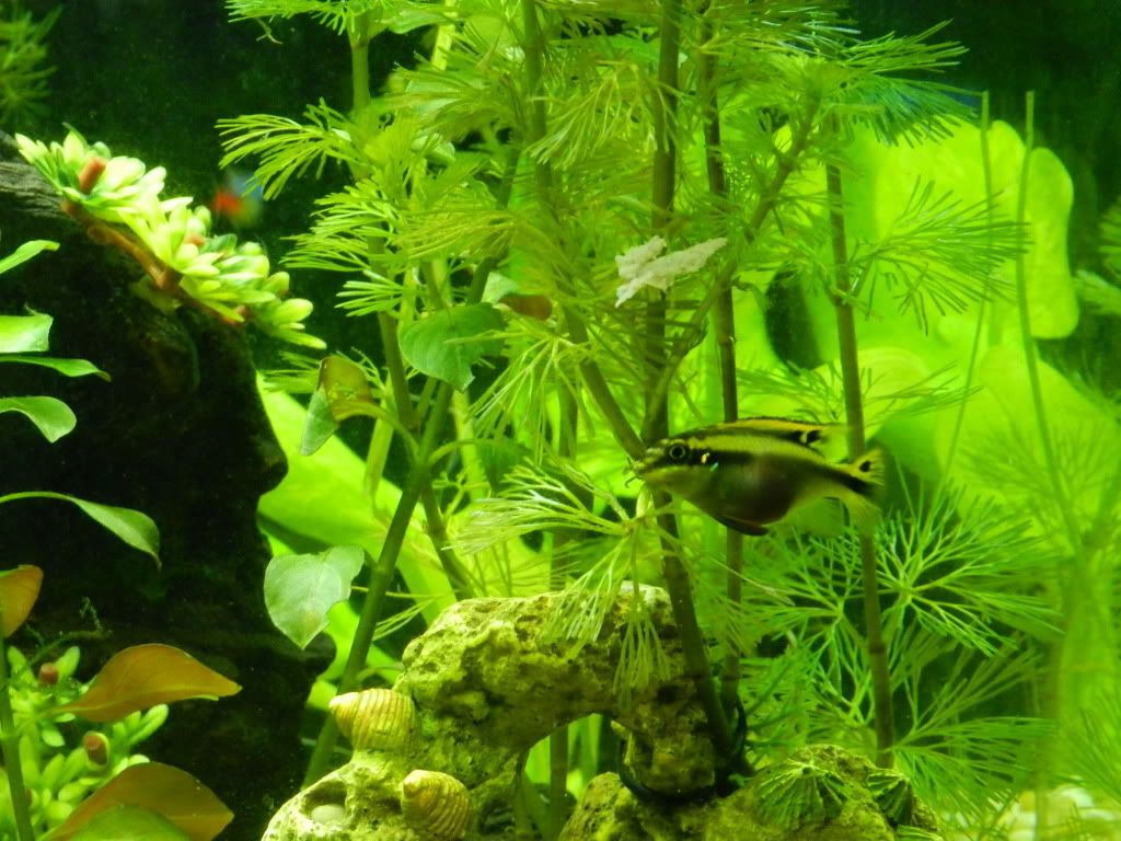 DSCN5299.jpg