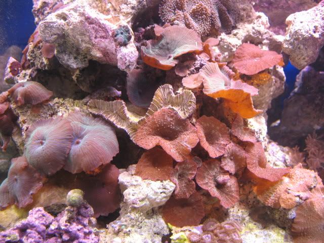 IMG_1668.jpg