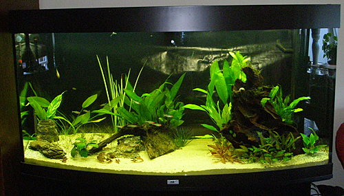 aquarium.png