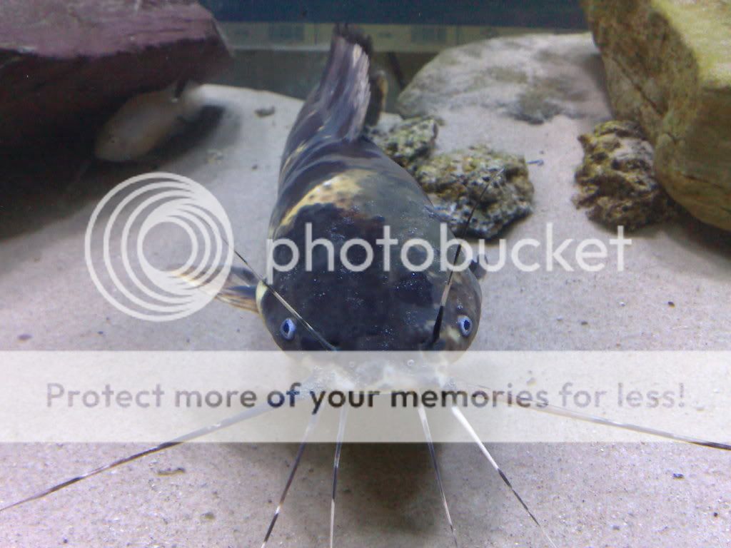 260820091085.jpg