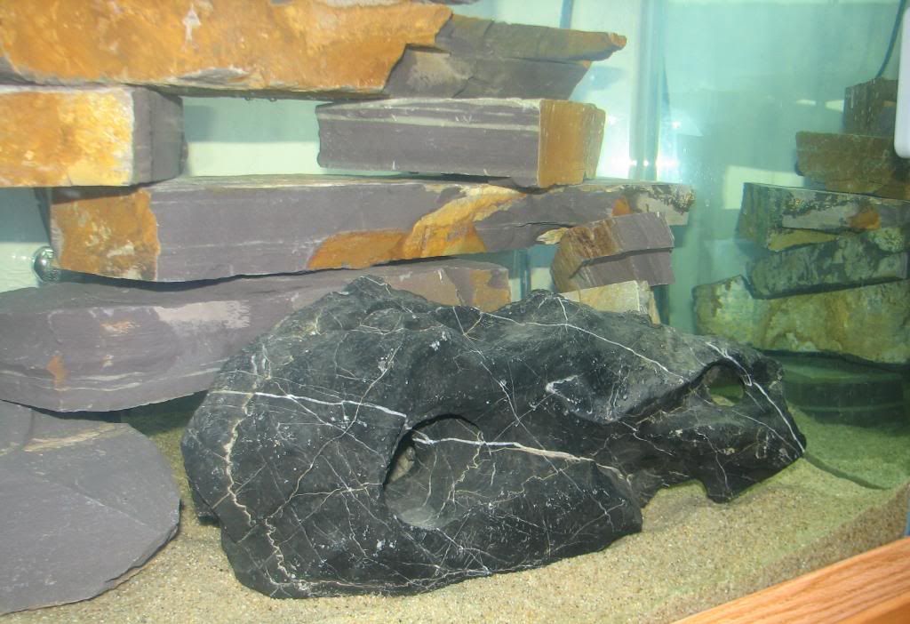 FishTank013.jpg