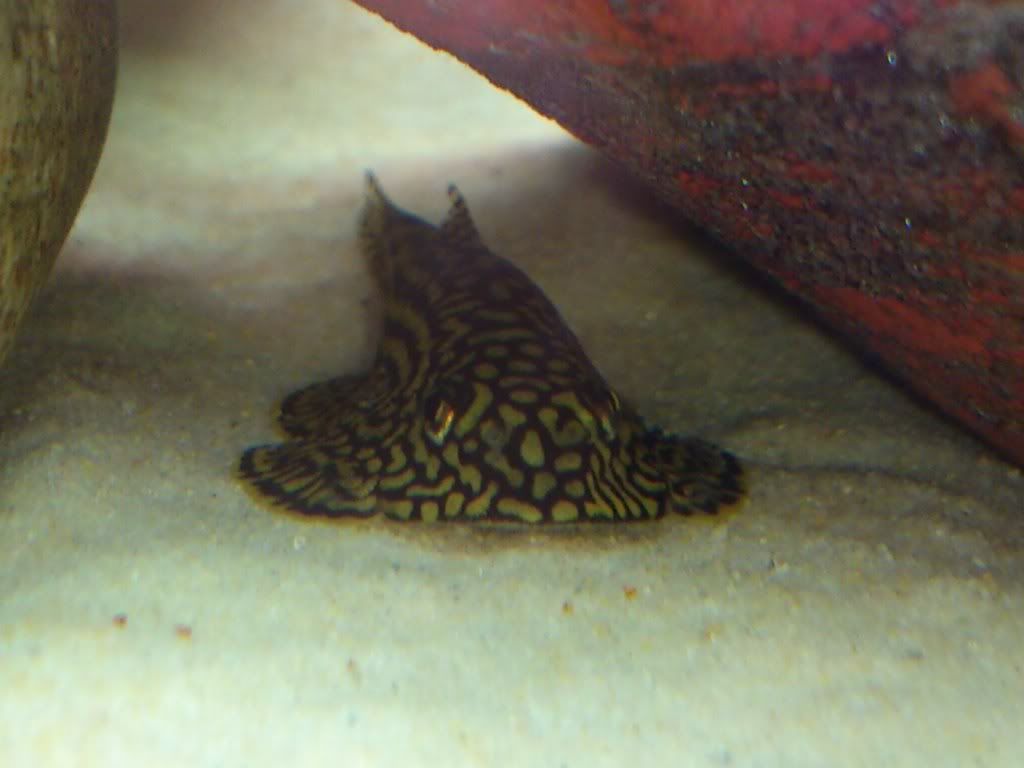 DSC_0025.jpg