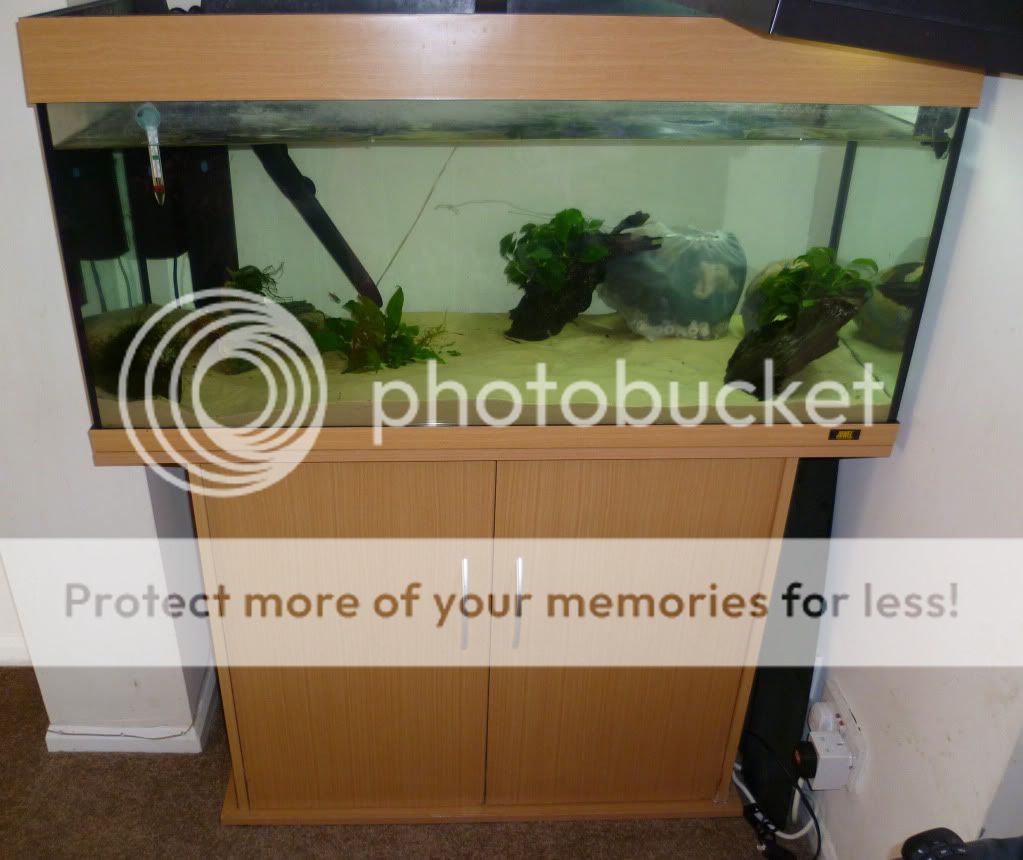 fishtank5.jpg