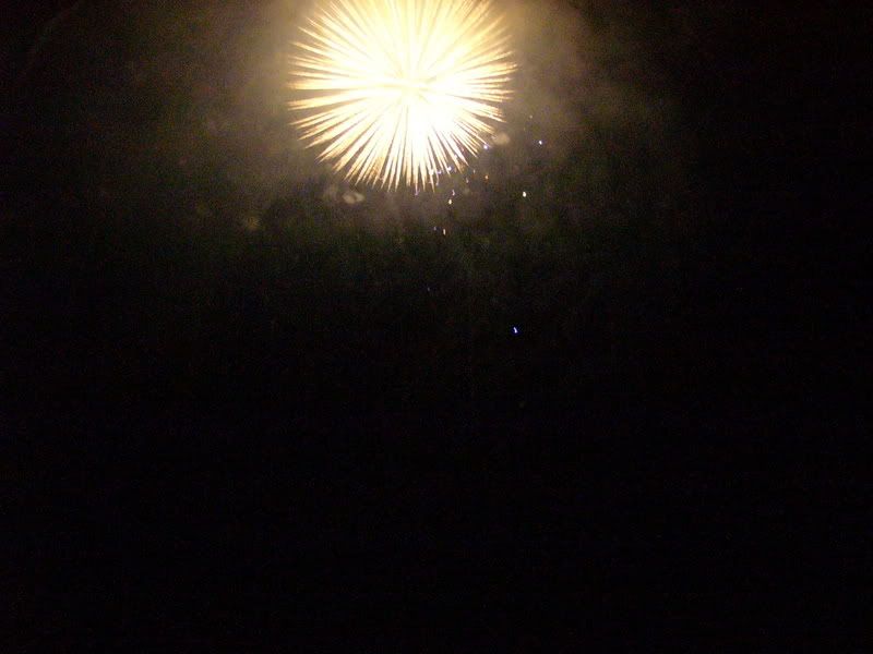 P1010766.jpg
