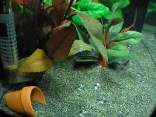 IMG010.jpg
