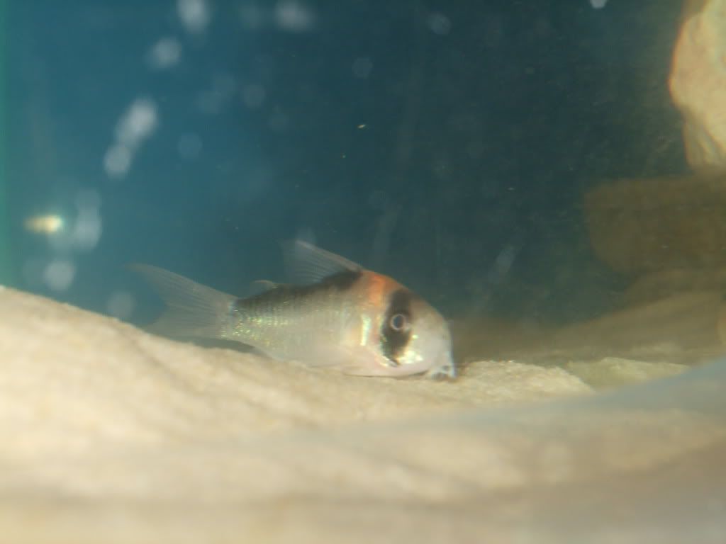 DSCF0952.jpg