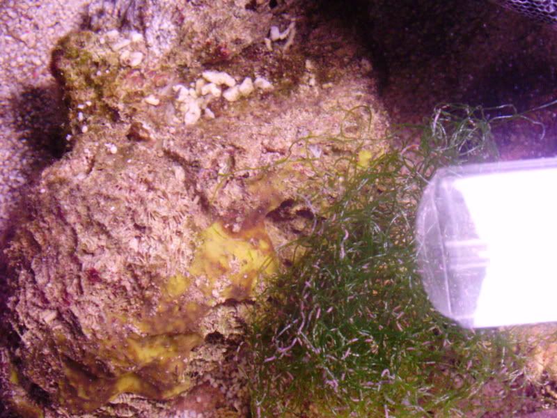 PA060088.jpg