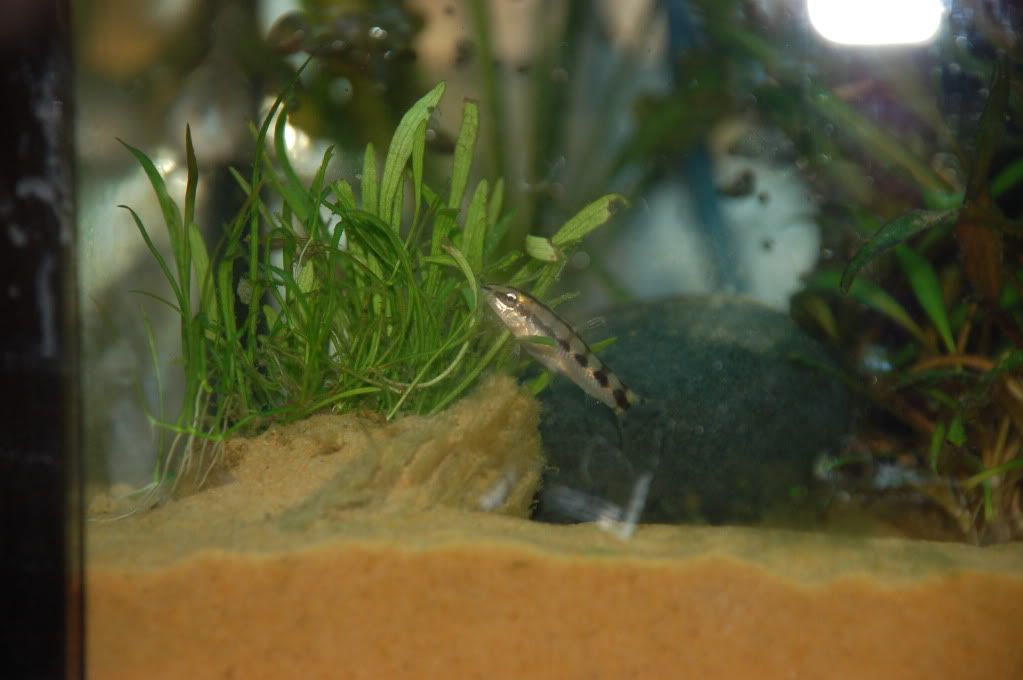 DSC_0017.jpg