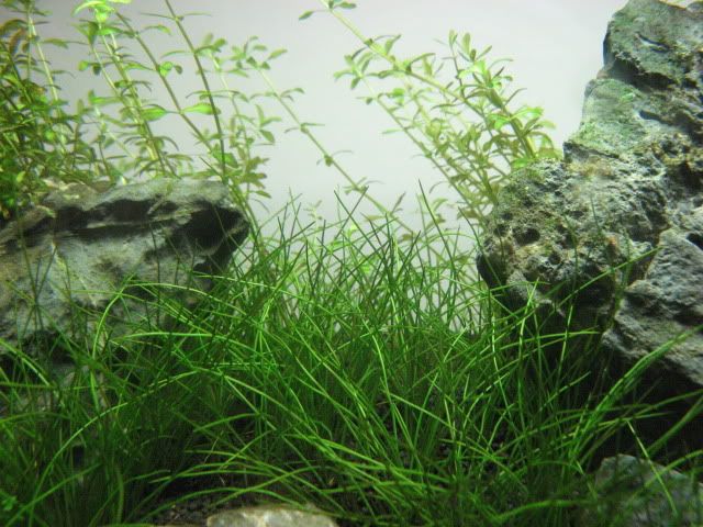 20090525004.jpg