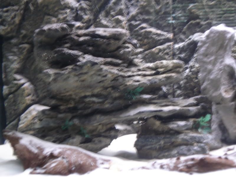 DSC01476.jpg