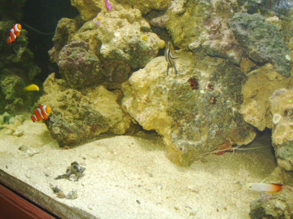 PICT00042.jpg