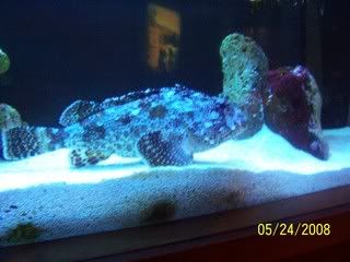 100_3170.jpg