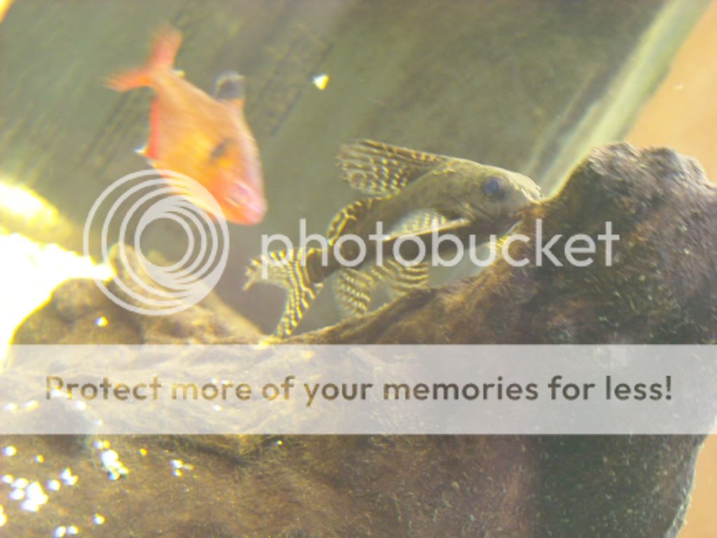 DSCN2034.jpg