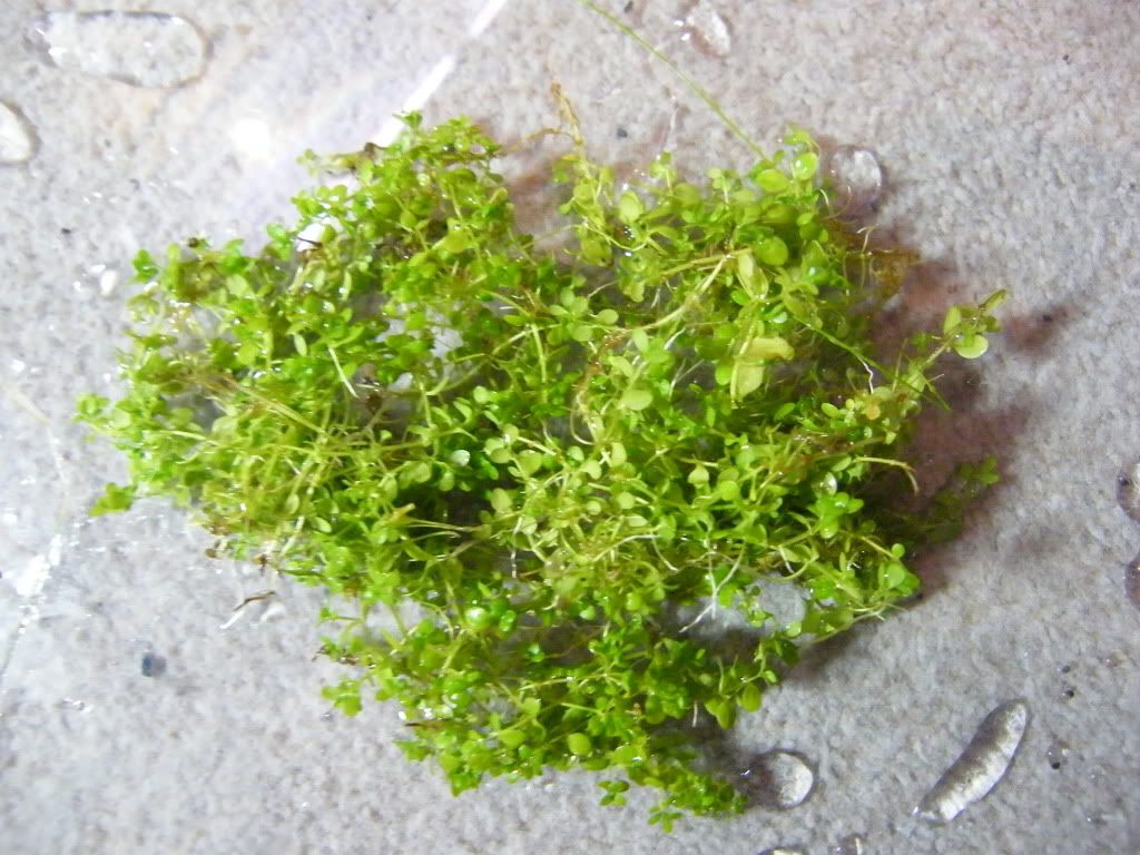 DSCF4699.jpg