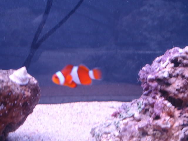 DSC04723.jpg